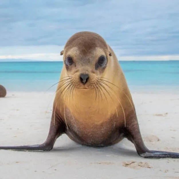 galapagos natural life daily tour